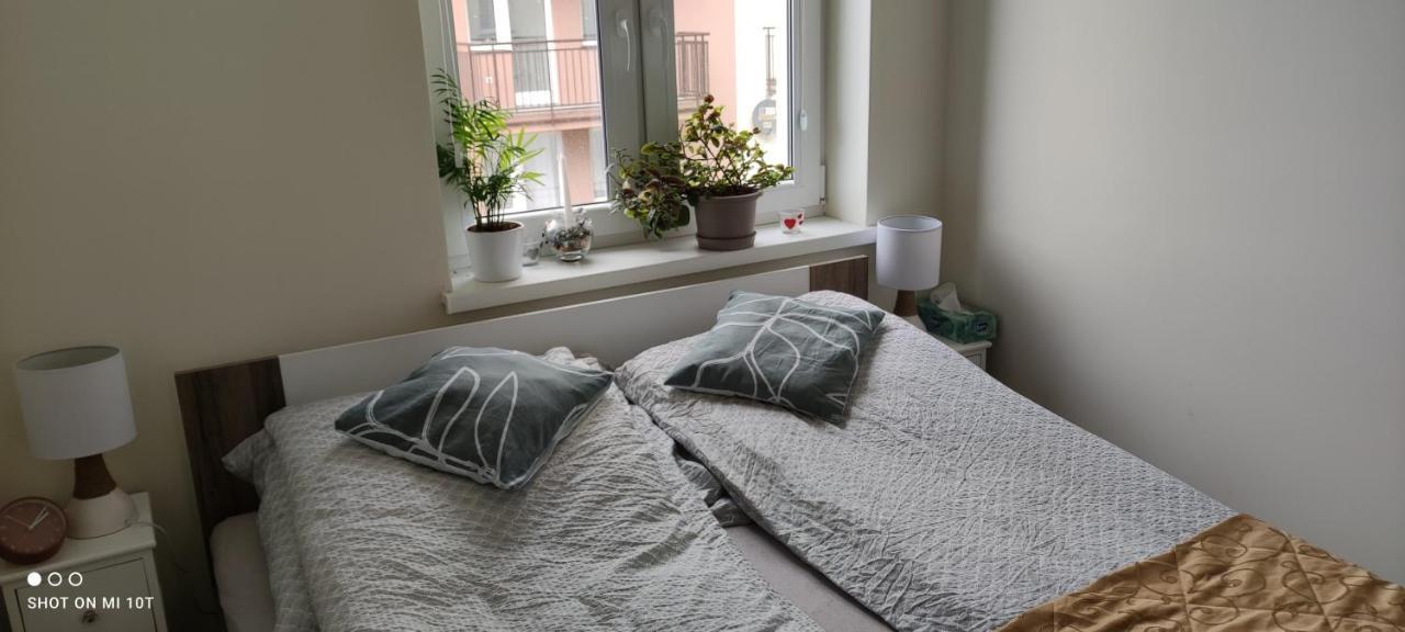 Cieplewo Apartament W Spokojnej Lokalizacji מראה חיצוני תמונה