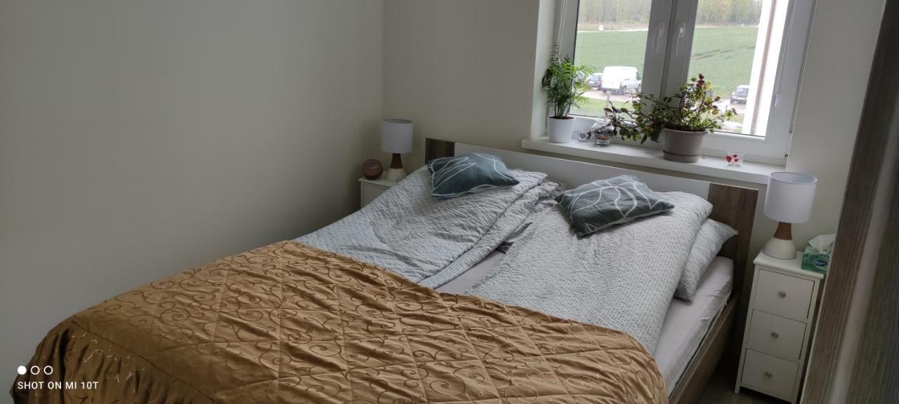 Cieplewo Apartament W Spokojnej Lokalizacji מראה חיצוני תמונה